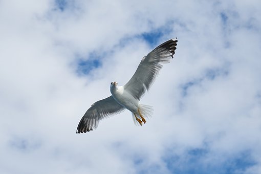 76953