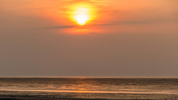 236464