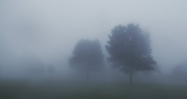 144630