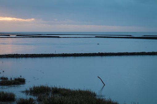 307808