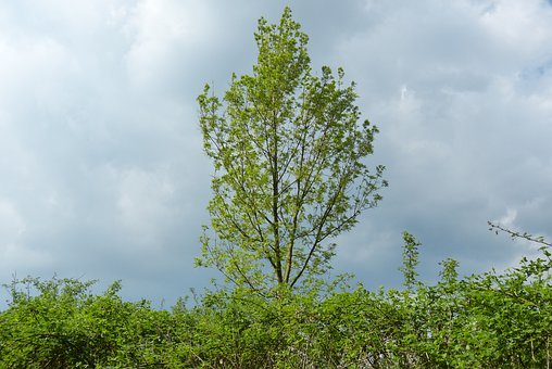 180043