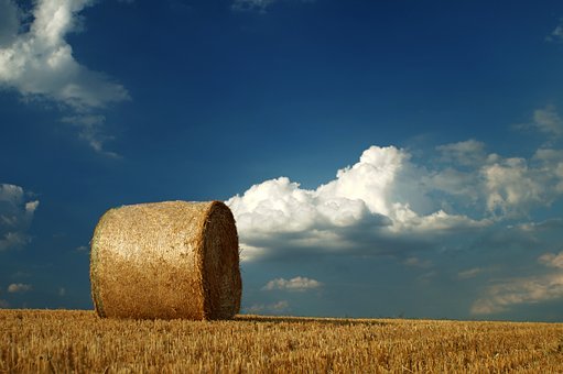 163162