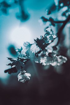 130026