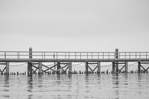335516
