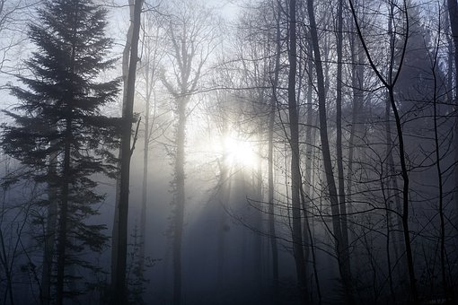 37282