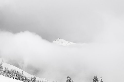 340732