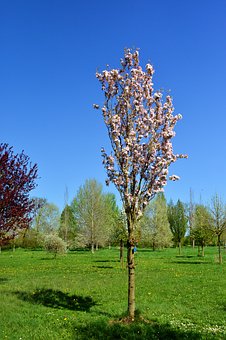 308425