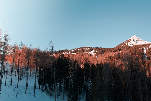 336728