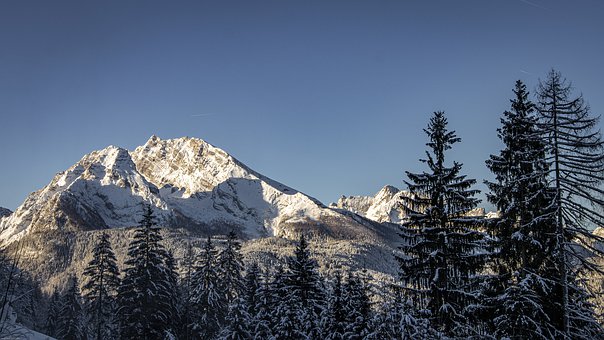 95477