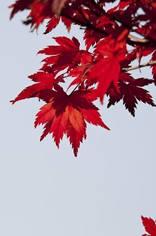 190776