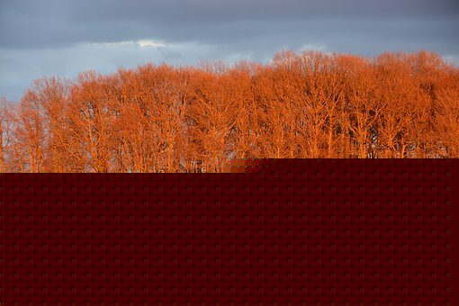 208204