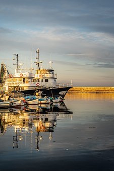 53262