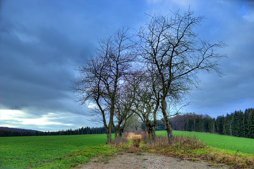 128973