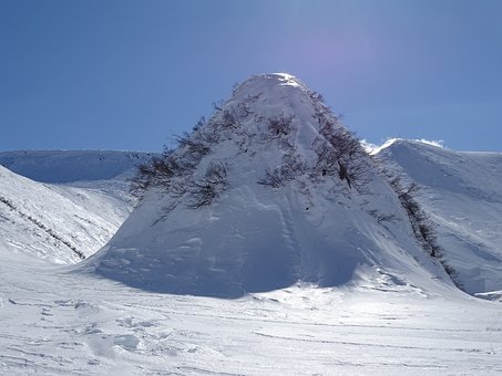 278364