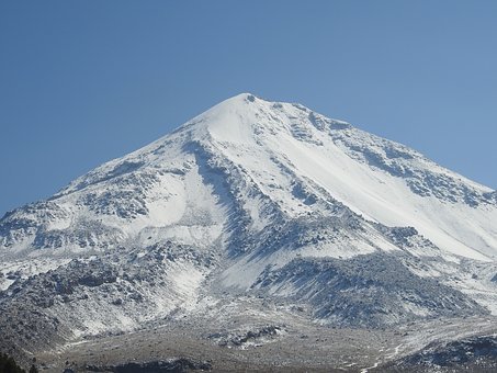 236894