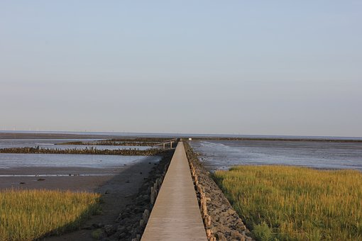 63646