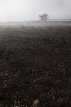 51858