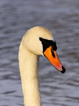 103144
