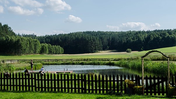 17818