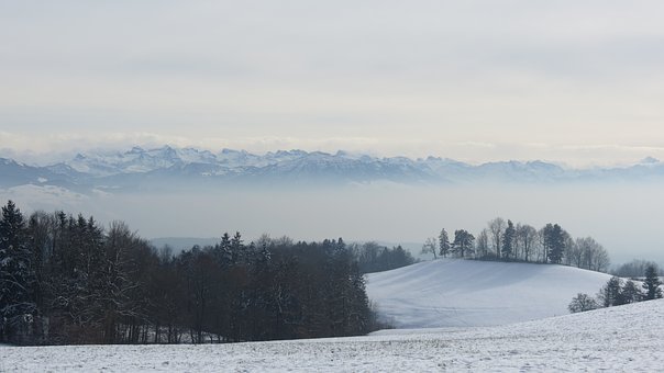 241236