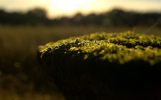 200697