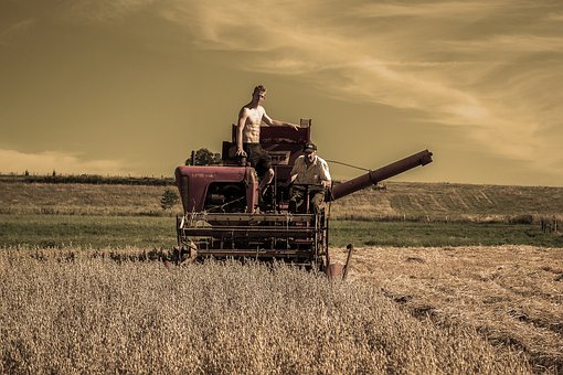 19704