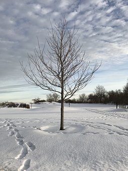 221749
