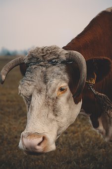 342242