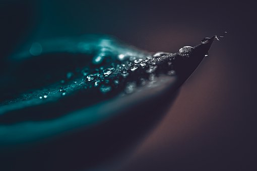 203219