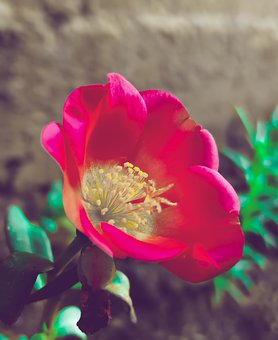 155043
