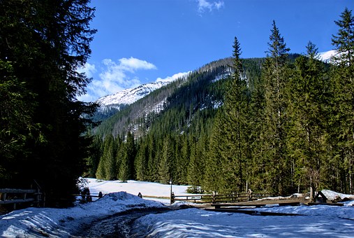 415793