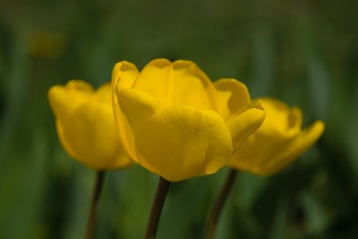37382