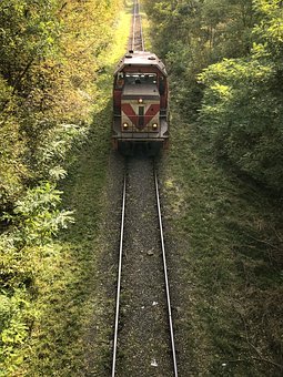 23979