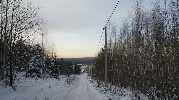 261391