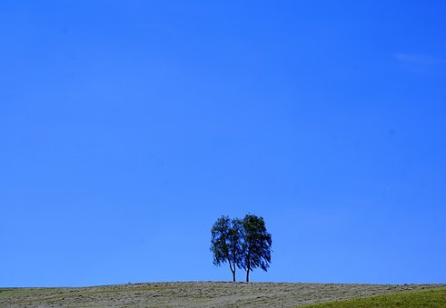 256198