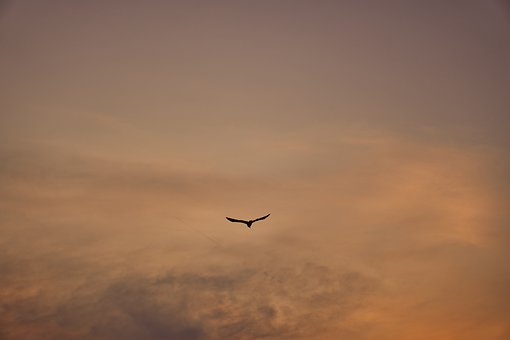 287816
