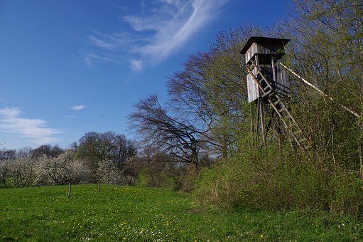 164254