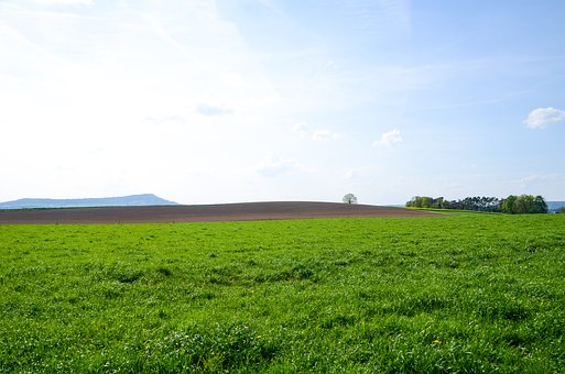 18619