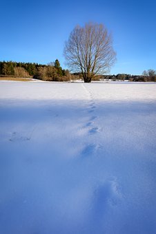 287066