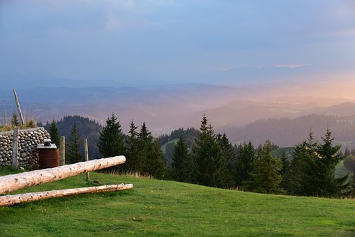 252664
