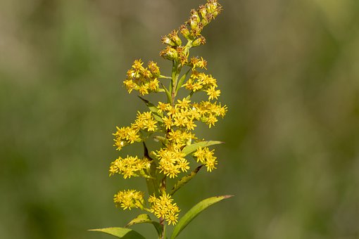 201284