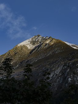 276444