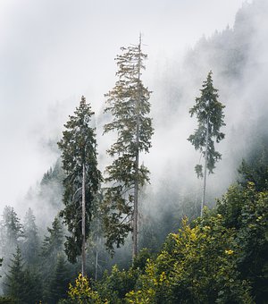 338731
