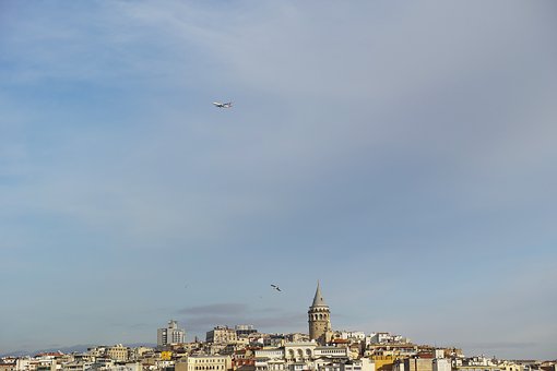 87441