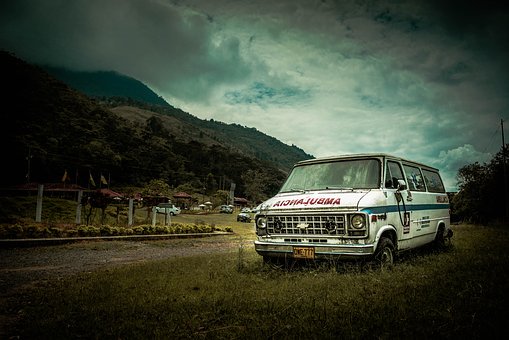 65954