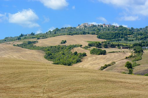 20119