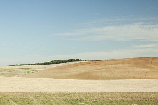 67801