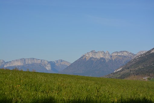 320113