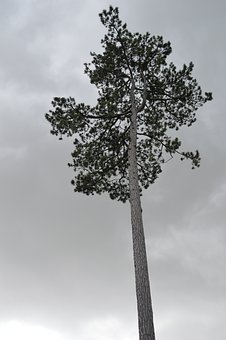 156052