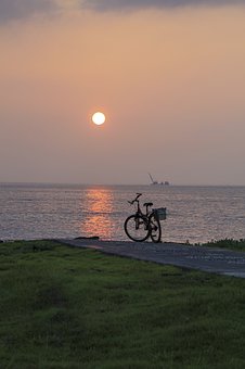 46499